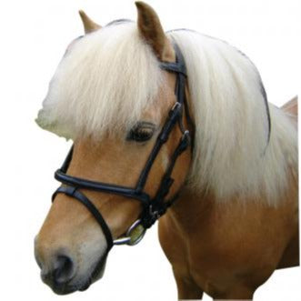 Miniature Bridle-Trailrace Equestrian Outfitters-The Equestrian