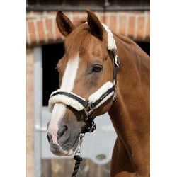 PEI Techno Wool Lined Head Collar-Vivarchie Equestrian-The Equestrian