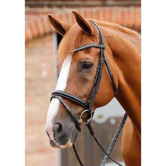 Premier Equine Bellissima Bridle With Diamante Brow Band-Southern Sport Horses-The Equestrian