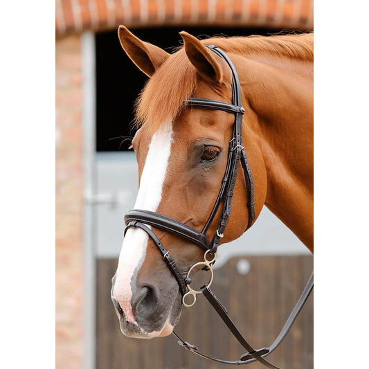 Premier Equine Delizioso Snaffle Bridle-Southern Sport Horses-The Equestrian