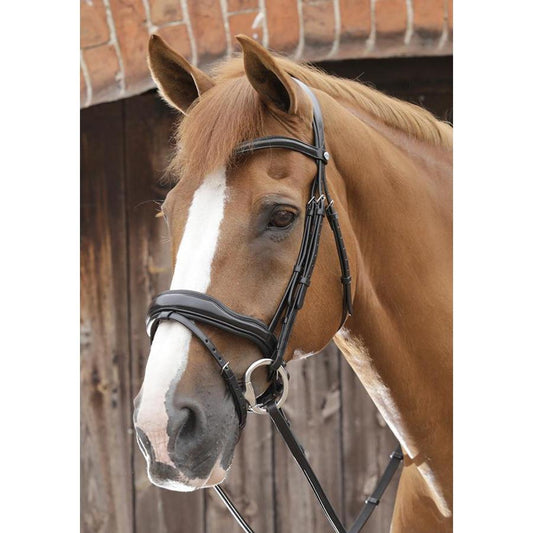 Premier Equine Favoloso Anatomic Bridle-Southern Sport Horses-The Equestrian