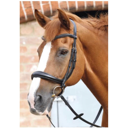 Premier Equine Lambro Anatomic Bridle with Crank Noseband-Southern Sport Horses-The Equestrian