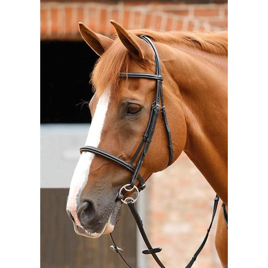 Premier Equine Mossimo Cavesson Bridle-Southern Sport Horses-The Equestrian