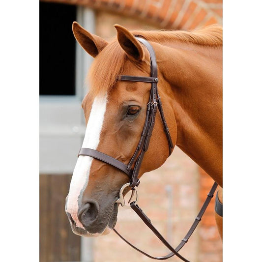 Premier Equine Primo Hunter Bridle-Southern Sport Horses-The Equestrian