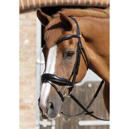 Premier Equine Rizzo Anatomic Bridle with Flash-Southern Sport Horses-The Equestrian