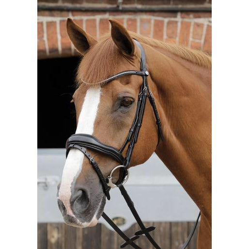 Premier Equine Stellazio Anatomic Bridle with Flash-Southern Sport Horses-The Equestrian