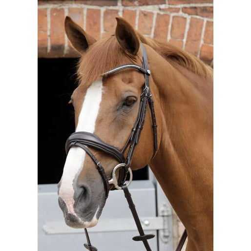 Premier Equine Stellazio Anatomic Bridle with Flash-Southern Sport Horses-The Equestrian