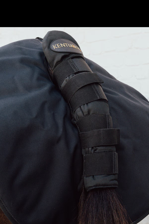 Kentucky Quarter Guard