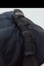 Kentucky Quarter Guard