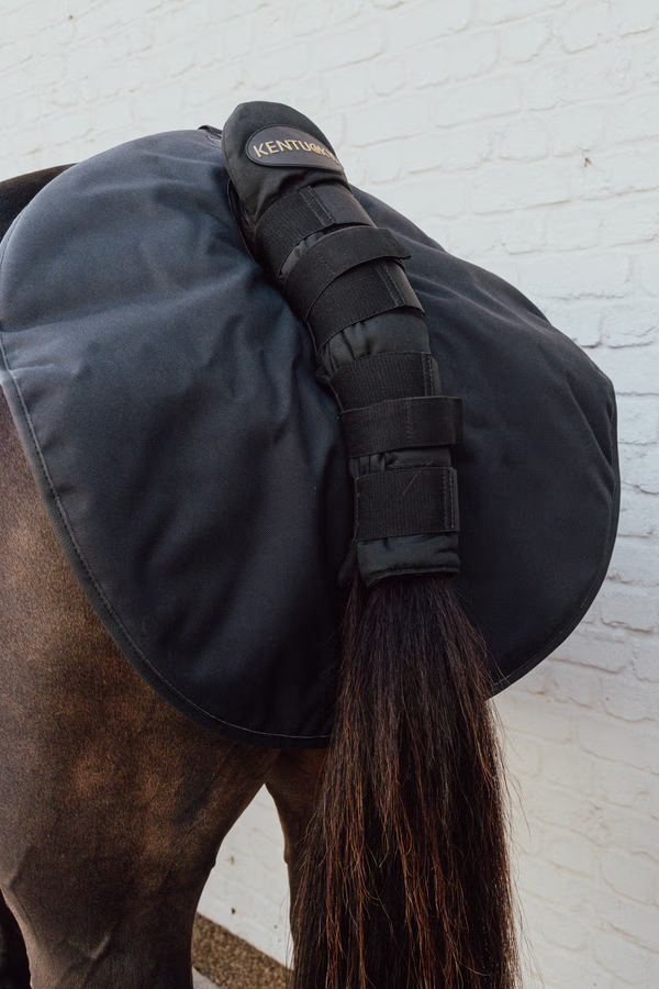 Kentucky Quarter Guard