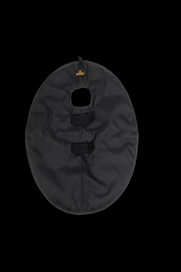 Kentucky Quarter Guard