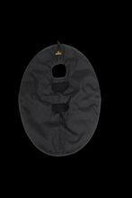 Kentucky Quarter Guard