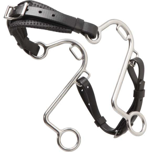Stainless steel horse bit with leather straps on white background.