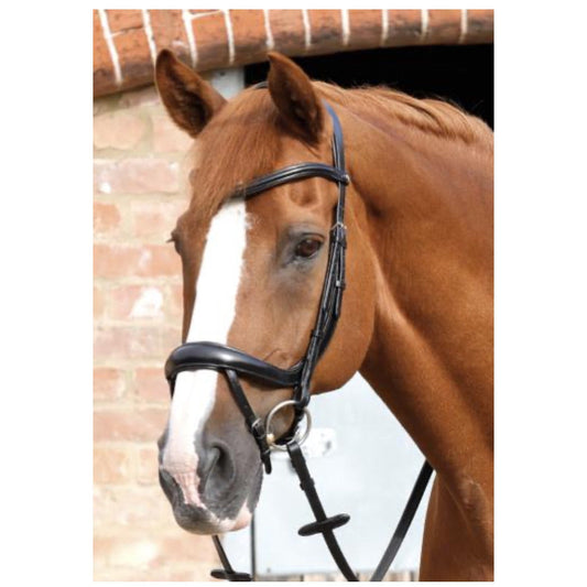 Savuto Anatomic Bridle with Crank Noseband & Flash by Premier Equine-Southern Sport Horses-The Equestrian