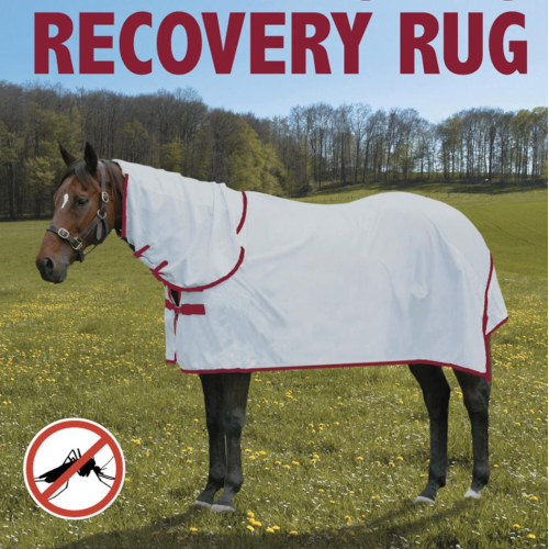 Shanga Bug Rug - Recovery Combo -  Shanga trading
