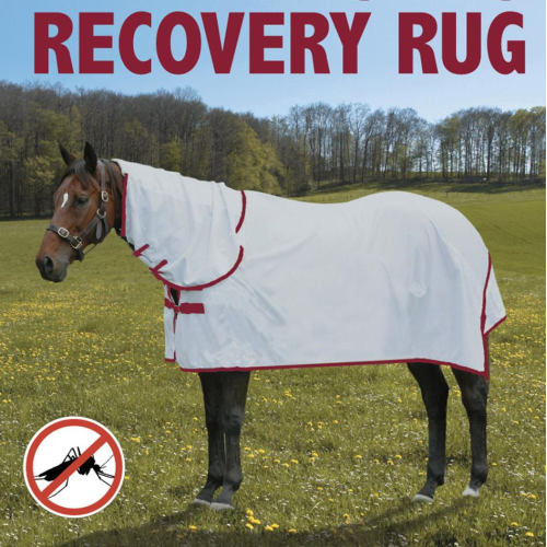 Shanga Bug Rug - Recovery Combo-Trailrace Equestrian Outfitters-The Equestrian