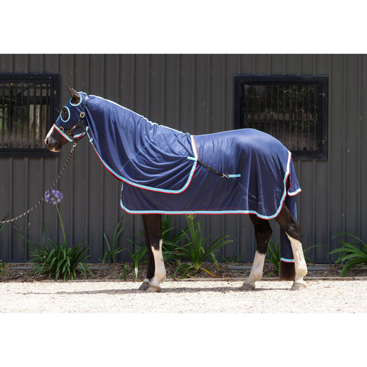 Horse wearing blue horse show rug with trim, standing outdoors.