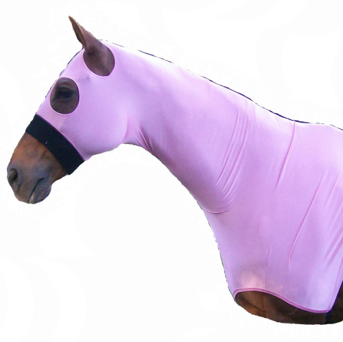 Horse wearing a purple full-body horse show rug, no visible brand.