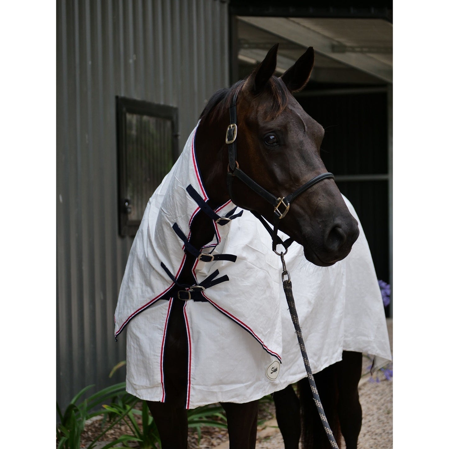 Shanga Ripstop Combo-Trailrace Equestrian Outfitters-The Equestrian