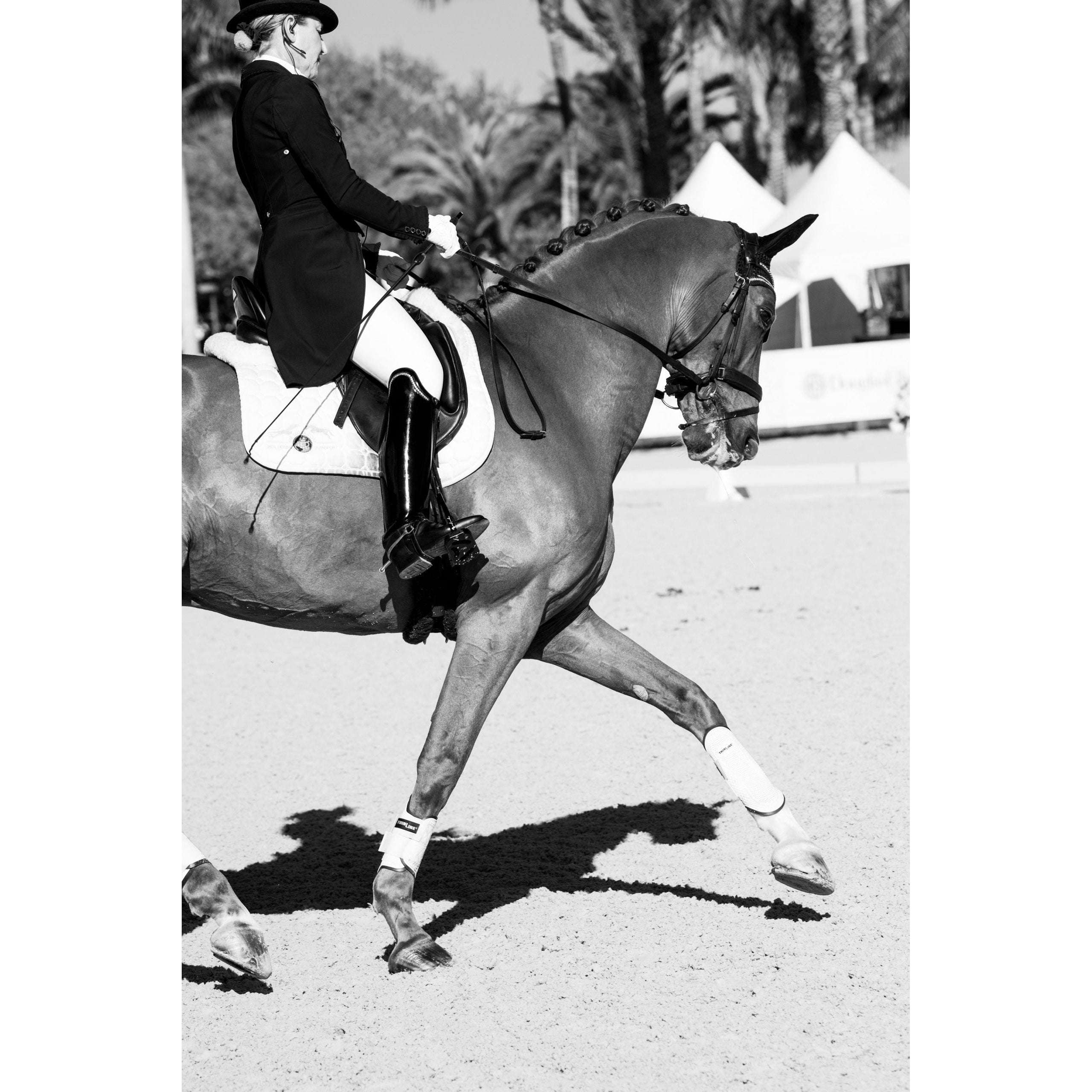 Equestrian performing dressage with Thinline equipment, horse mid-stride.