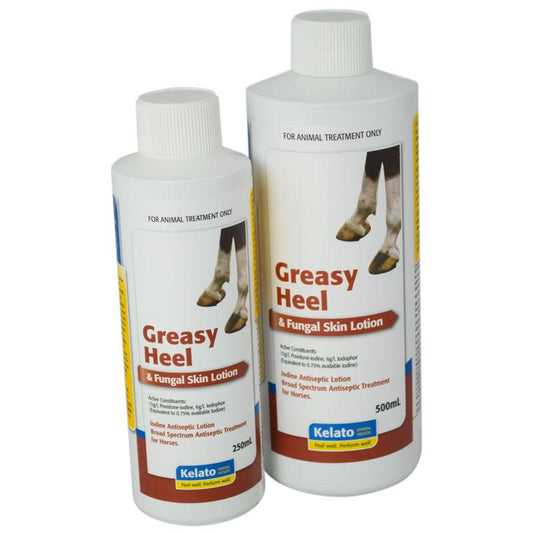 Shop Kelato's Fungal Lotion for Greasy Heel Treatment-Southern Sport Horses-The Equestrian