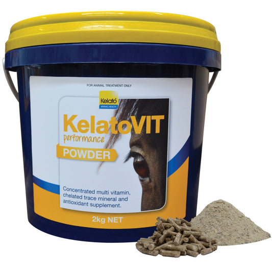 KelatoVIT performance powder container with supplement piles nearby.