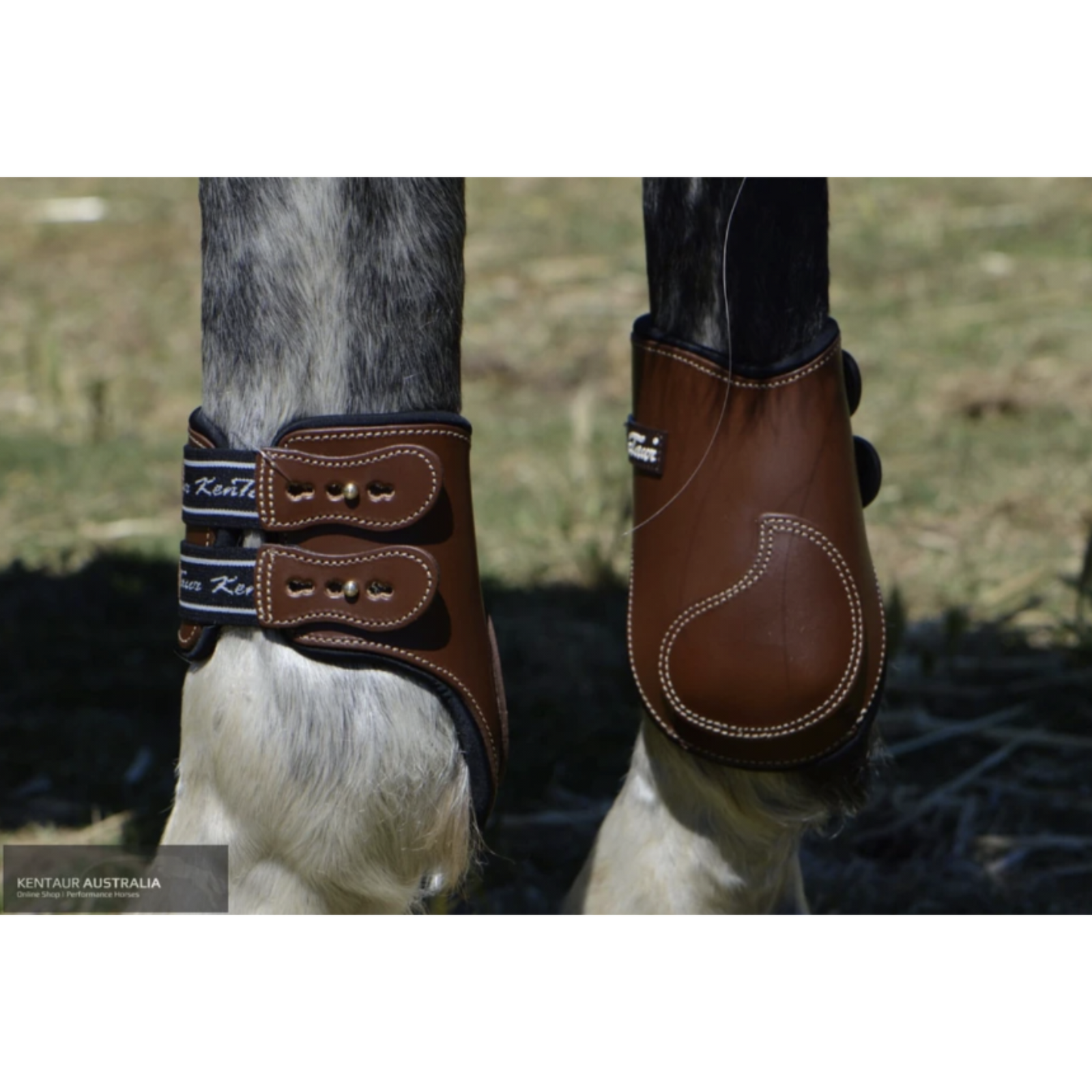 Kentaur Roma Leather Hind Boots Superior Protection Style