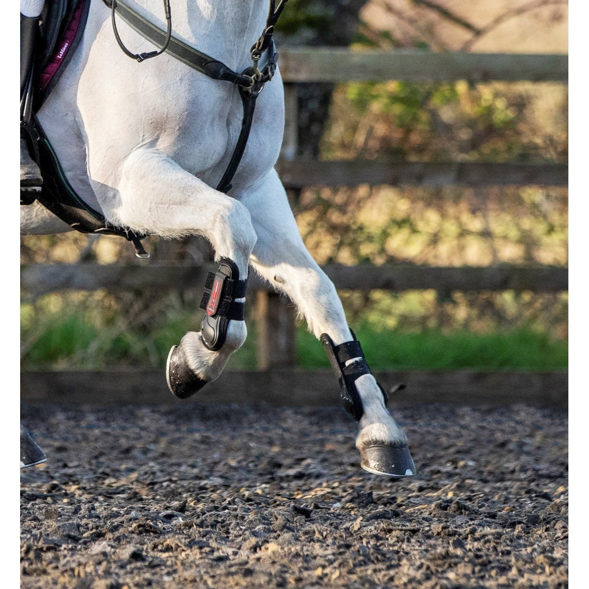 Shop LeMieux Junior Pro Boots for Optimal Performance-Southern Sport Horses-The Equestrian