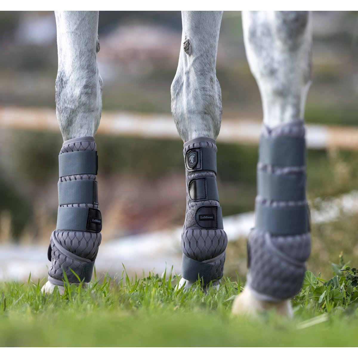 Horse wearing protective fly boots.