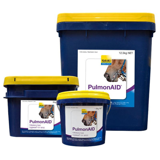 Shop Pulmonaid by Kelato - Premium Respiratory Support for Equines-Southern Sport Horses-The Equestrian