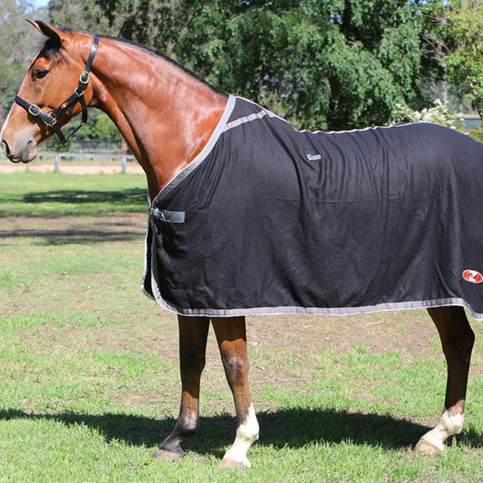 Bay horse wearing a black WeatherBeeta horse show rug outdoors.