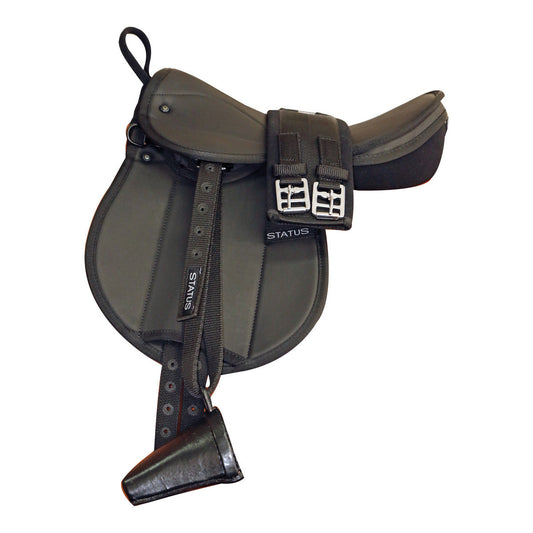 Status Pony Pad Mounted-Trailrace Equestrian Outfitters-The Equestrian