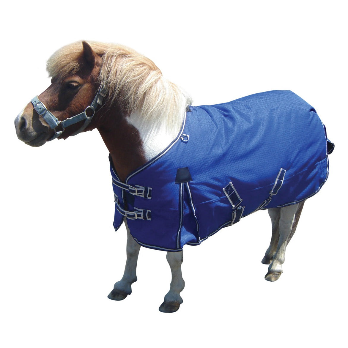 Synthetic Mini Rug - Eureka-Trailrace Equestrian Outfitters-The Equestrian