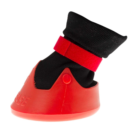 Red and black climbing shoe with velcro strap, isolated on white.