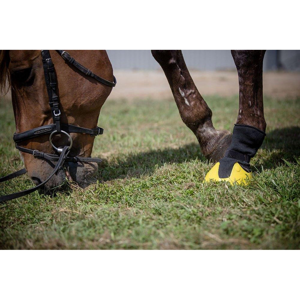 Close-up of horse's hooves, one with a yellow protective boot.