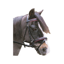 Eureka RETRO EVENT BRIDLE
