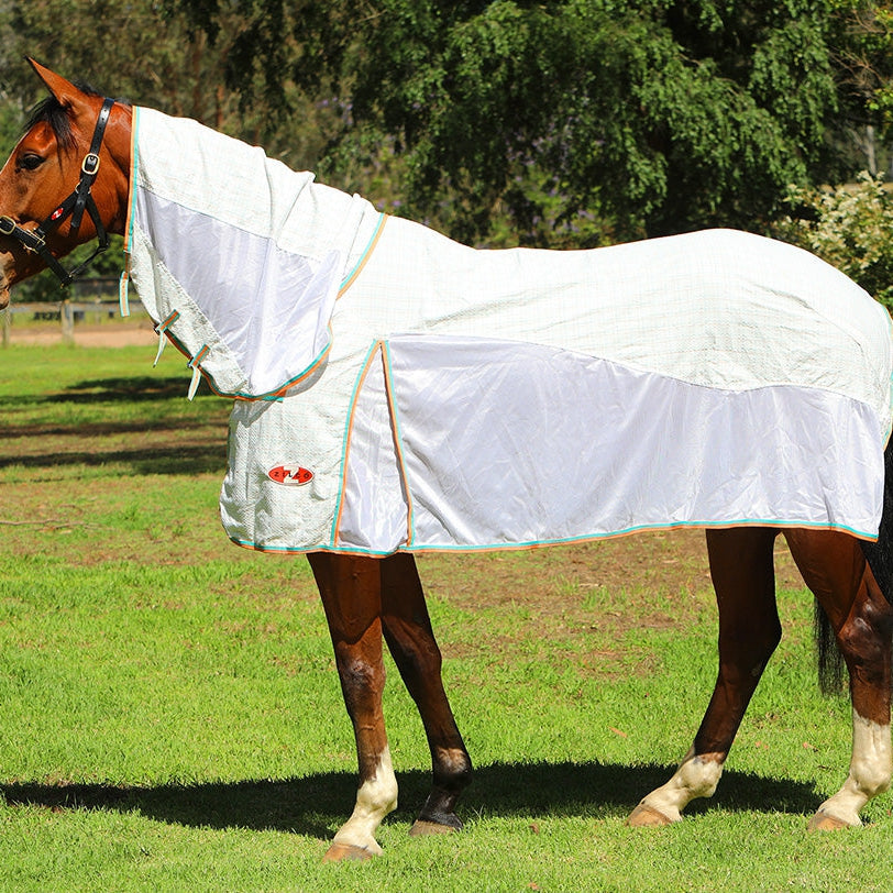 Zilco Econo Hybrid Combo-Trailrace Equestrian Outfitters-The Equestrian