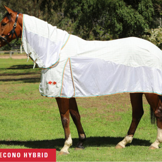 Zilco Econo Hybrid Combo-Trailrace Equestrian Outfitters-The Equestrian