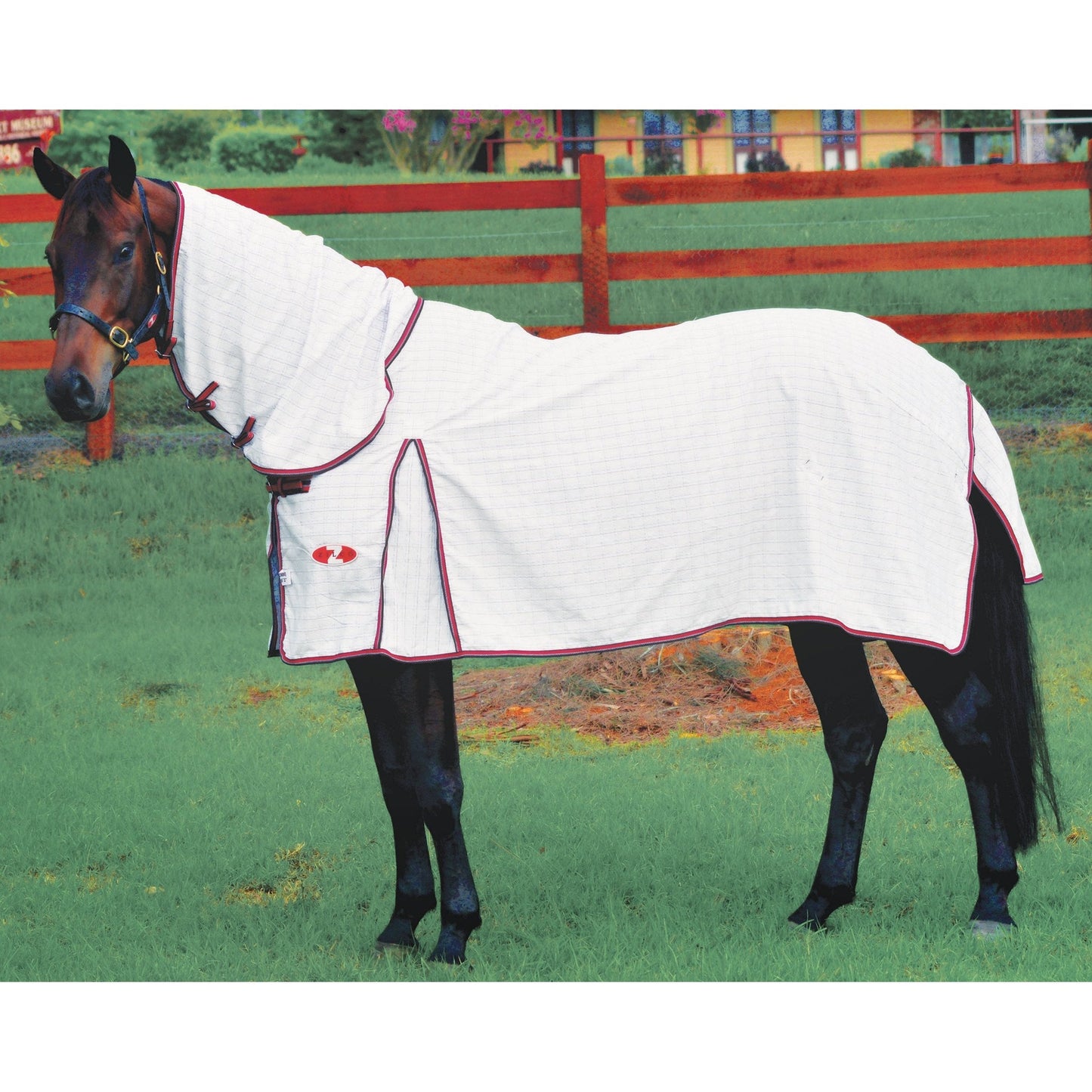 Zilco Econostop Combo-Trailrace Equestrian Outfitters-The Equestrian
