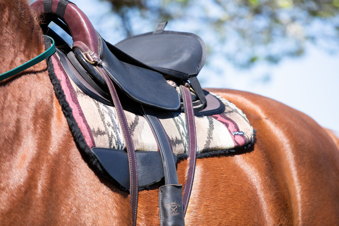 Round Western Ranch Pad-Thinline Global Australia-The Equestrian
