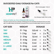 Shop the 100ml Pet X Hemp Pet Cat Hemp Oil Blend with Hoki Fish & MCT Oil for Your Feline Companion-Ascot Saddlery-The Equestrian
