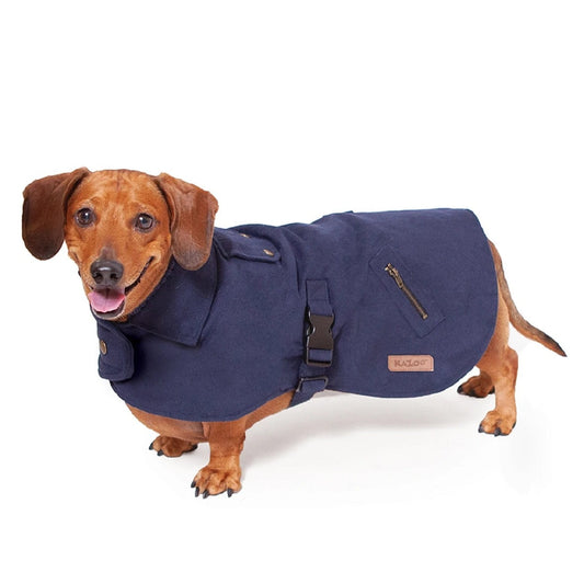 1 Pet X Kazoo Dog Rug Blue Gum Coat Navy-Ascot Saddlery-The Equestrian