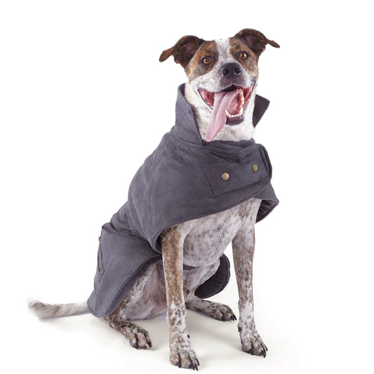 1 Pet X Kazoo Dog Rug Dual Collar Coat Grey-Ascot Saddlery-The Equestrian