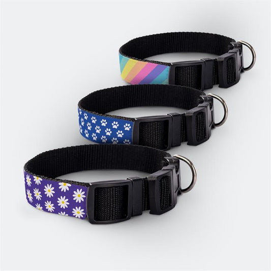 Small Personalised Dog Collars-Bright Star Buddies Dog Tags & Bandanas-The Equestrian
