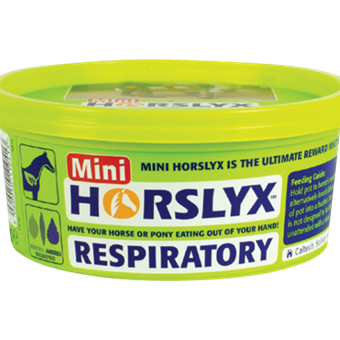 Horslyx Respiratory Mini Vit & Mineral Lick-Trailrace Equestrian Outfitters-The Equestrian