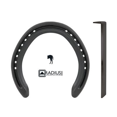 Black horseshoe and nail on white background with "RADIUS" logo.