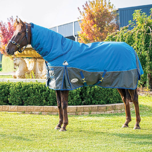 Horse wearing a blue Eurohunter horse rug standing outdoors.