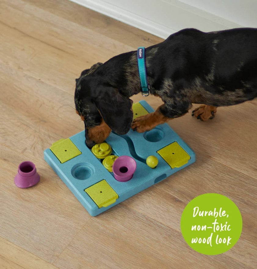 Kazoo Dog Toy Interactive Puzzle Play Rectangle Rumble-Ascot Saddlery-The Equestrian