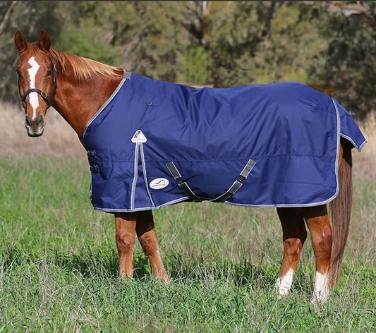 A chestnut horse standing in field wearing a Eurohunter horse rug.
