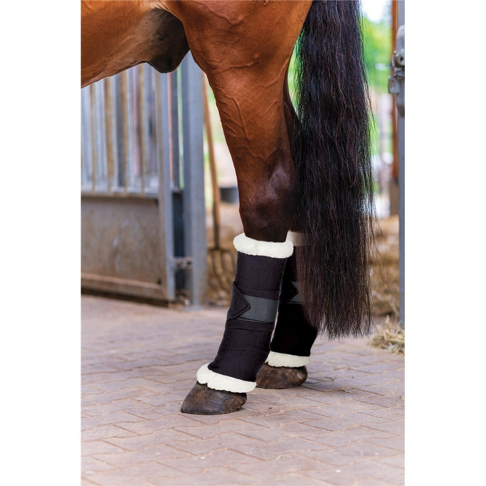 Bandage Pads Faux Sheepskin Trim Pair Showmaster Black-Ascot Saddlery-The Equestrian